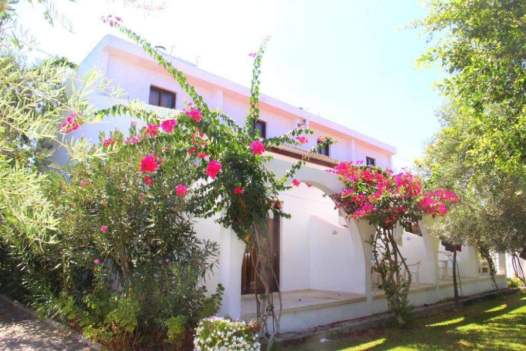 Krini Bare Hill Holiday Apartments المظهر الخارجي الصورة