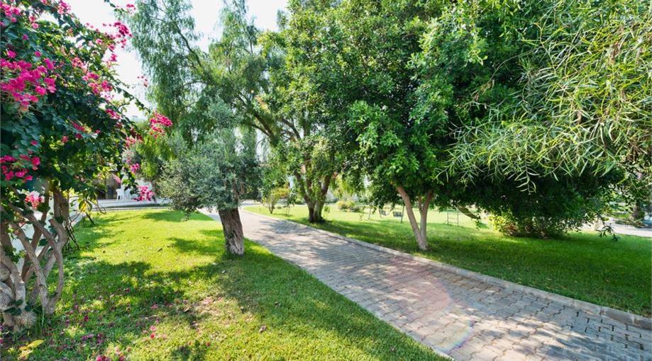 Krini Bare Hill Holiday Apartments المظهر الخارجي الصورة
