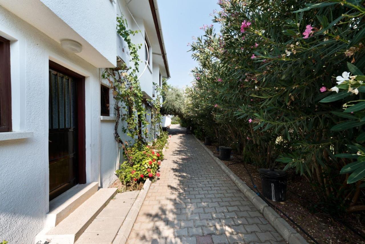Krini Bare Hill Holiday Apartments المظهر الخارجي الصورة