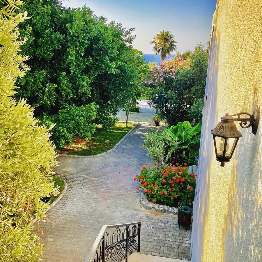 Krini Bare Hill Holiday Apartments المظهر الخارجي الصورة