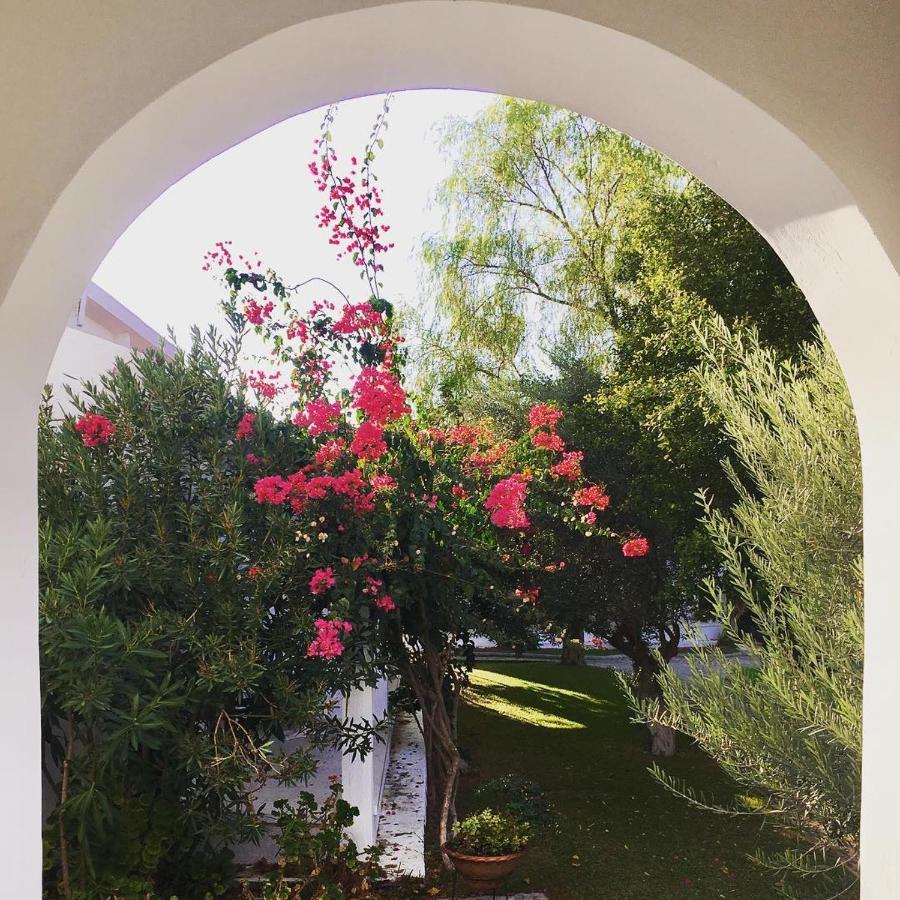 Krini Bare Hill Holiday Apartments المظهر الخارجي الصورة