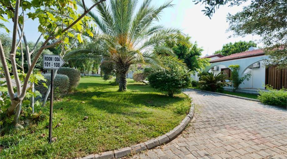 Krini Bare Hill Holiday Apartments المظهر الخارجي الصورة