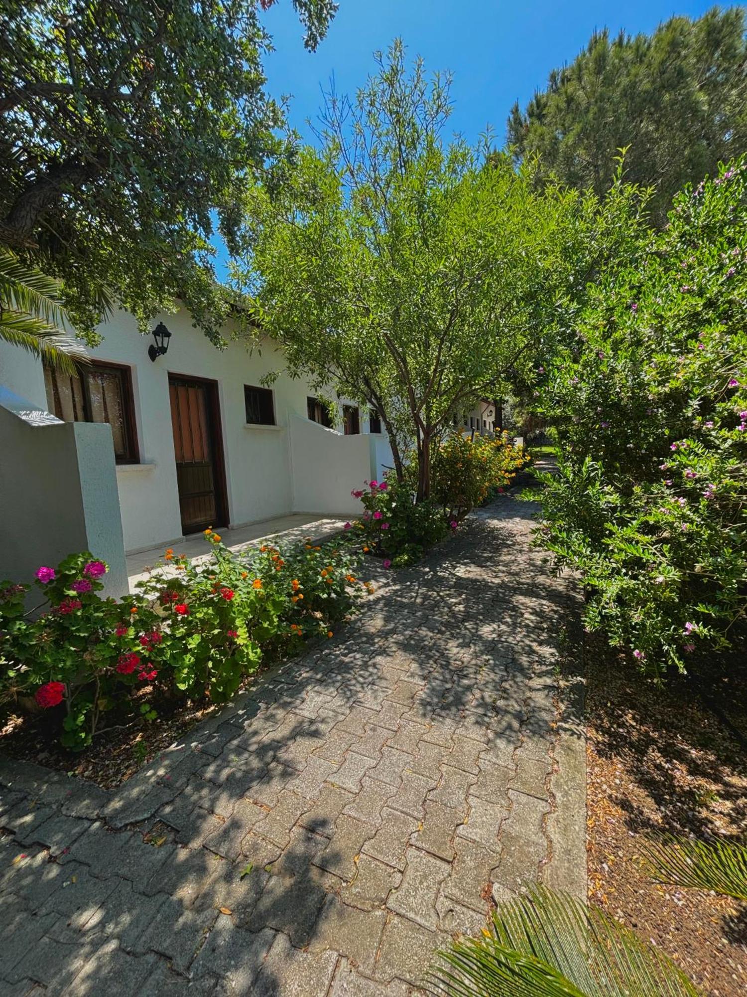 Krini Bare Hill Holiday Apartments المظهر الخارجي الصورة